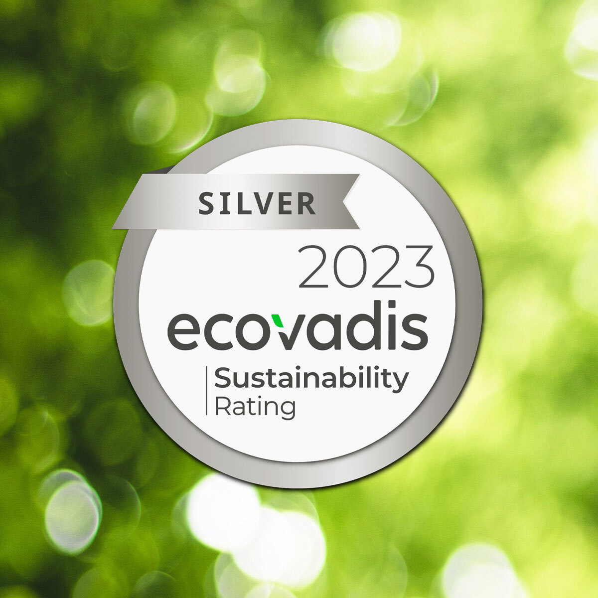 srebrny Ecovadis